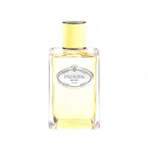 Prada Infusion de Mimosa