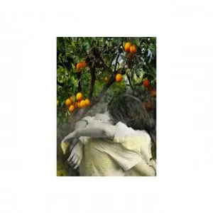 Profumum Roma Orangea